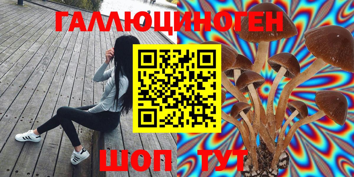 Галлюциногенные грибы мухоморы  Вход с VPN  Новочеркасск 
